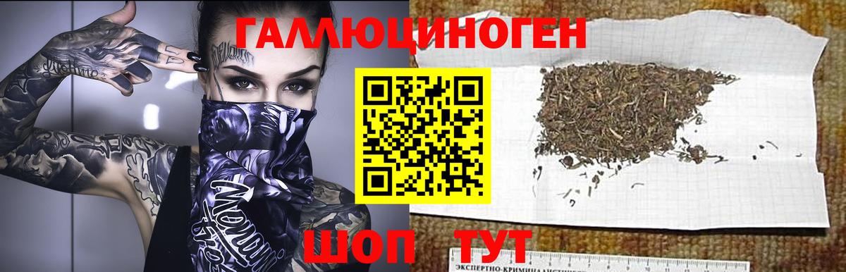 Галлюциногенные грибы MAGIC MUSHROOMS  Псилоцибиновые грибы GOLDEN TEACHER  Вход с VPN  Сызрань 